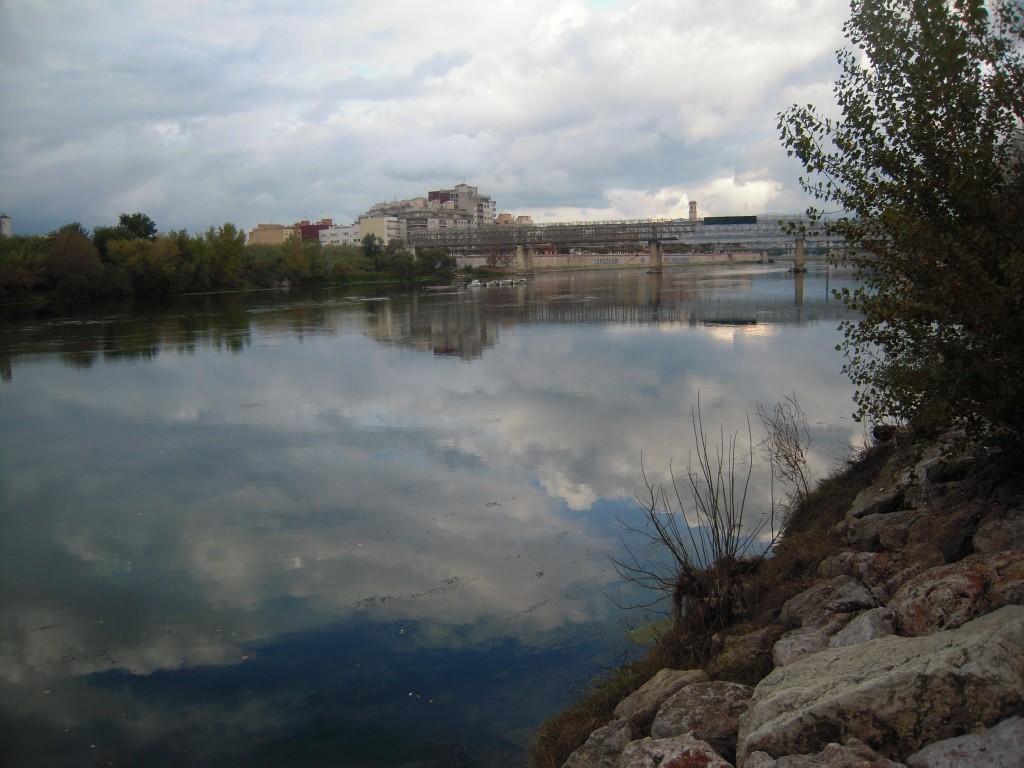 20121119 Roquetes Jornada Ebro (4)